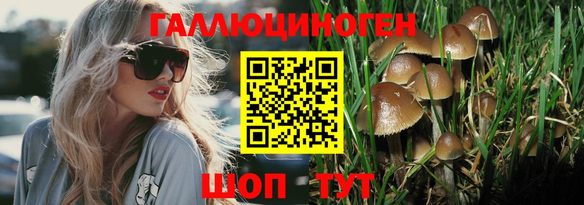 Нефтекамск  Псилоцибиновые грибы мухоморы  Псилоцибиновые грибы Psilocybine cubensis  Вход с VPN 