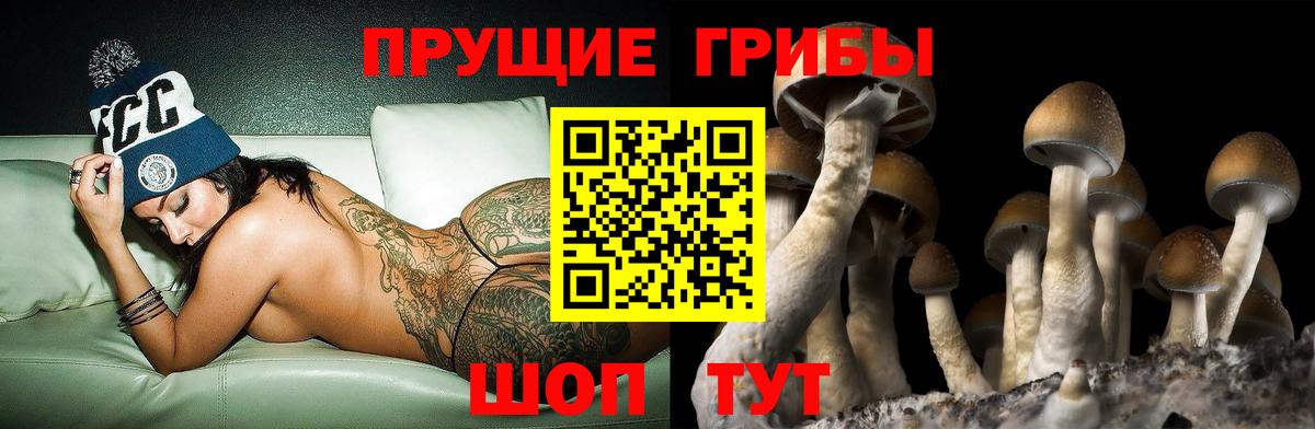 Псилоцибиновые грибы MAGIC MUSHROOMS Нефтекамск